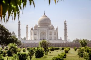 Top 5 Ipl Betting Casino India: Tested & Ranked for Indian Players (2026)